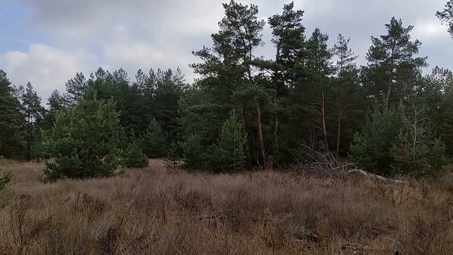 4 декабря праздник Введение во Храм Пресвятой Богородицы. Народные традиции. Запреты дня.