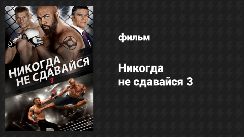 Никогда не сдавайся 3 (фильм, 2016)