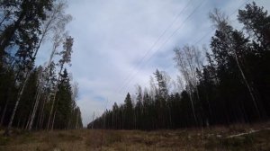 Длинное озеро . СПБ    #лес #природа #озера #карьеры #поход #Ленобласть #красота #семья #мужжена