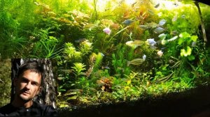 Про себя и про канал аквариумистики.