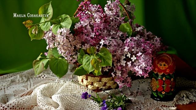Отцвела черемуха, зацвела сирень... фото, натюрморты, видео - ©Мария Собакарева. 19г смотреть онлайн