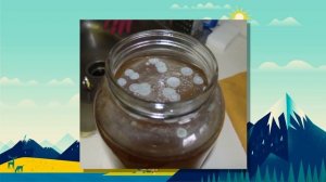 ЧТО ТАКОЕ ЧАЙНЫЙ ГРИБ?