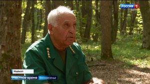 День работников леса отмечают каждый год в третье воскресенье сентября