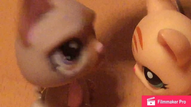 музыкальное видео