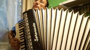 Татьяна Овсиенко - Школьная пора (кавер на аккордеоне, без слов)