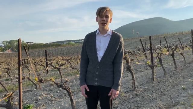 Головинский Родион, 16 лет. А.Решетов, «Хозяйка маков» смотреть онлайн