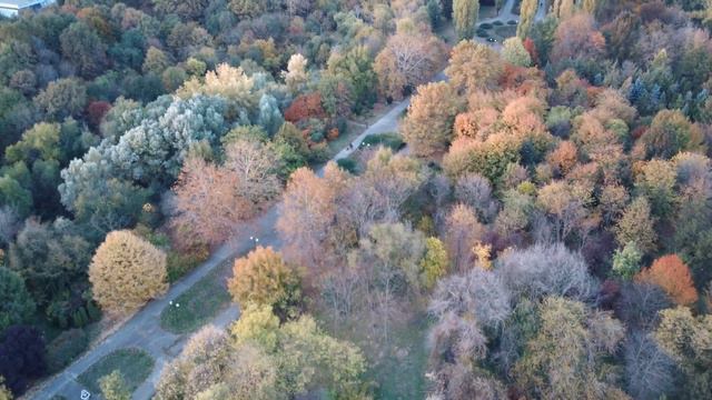 C-Fly Faith 2 , Autumn colors , Couleurs d'Automne смотреть онлайн