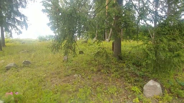 Теория происхождения белорусов на примере старого кладбища Часть1