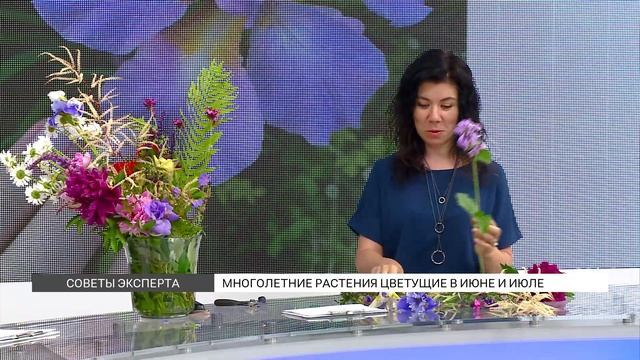 Топ многолетний растений, цветущих в июне и июле