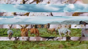 Хочется легкого, светлого, нежного../ поет Э. Рязанов