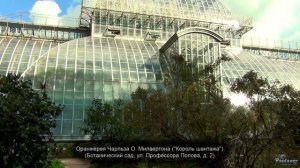 Шерлок Холмс и доктор Ватсон. Лондон в Санкт-Петербурге (2015)