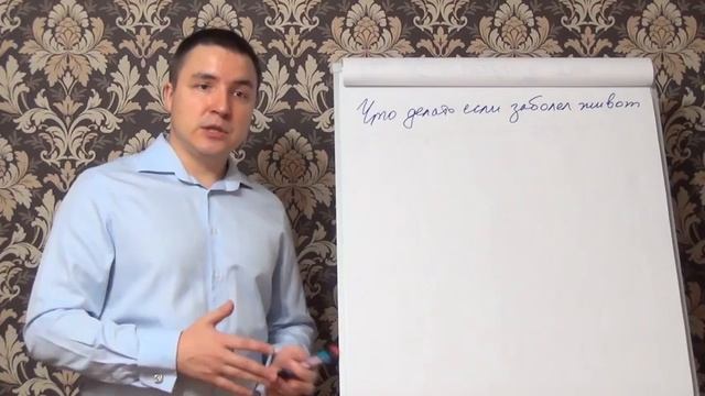 Евгений Грин - Что делать если заболел живот смотреть онлайн