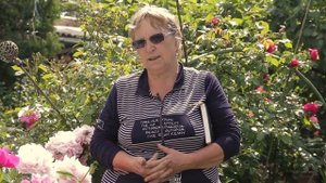 Пионы - посадка и правильный уход