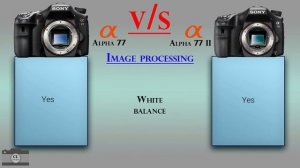 Sony Alpha 77 vs Sony Alpha 77 II