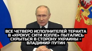 Исполнители теракта в «Крокус Сити Холле» пытались скрыться в сторону Украины - Владимир Путин