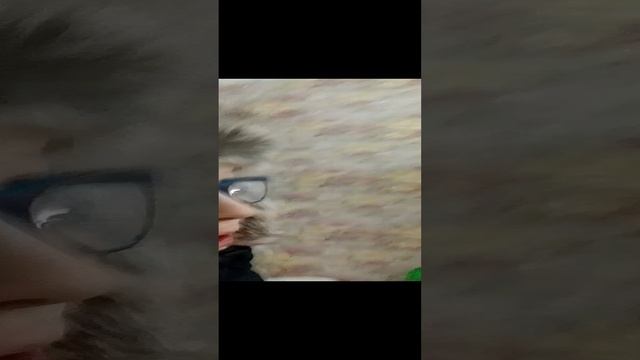Типичный класс