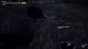 Глитч на деньги в Far Cry 5