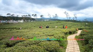 Динара Магомедова - Будь со мной 2022