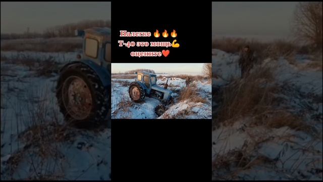 ТЫ ЭТО ВИДЕЛ??? ЧТО ОНИ ТВОРЯТ НА ТРАКТОРАХ!!! #трактор #бульдозеры #рек смотреть онлайн