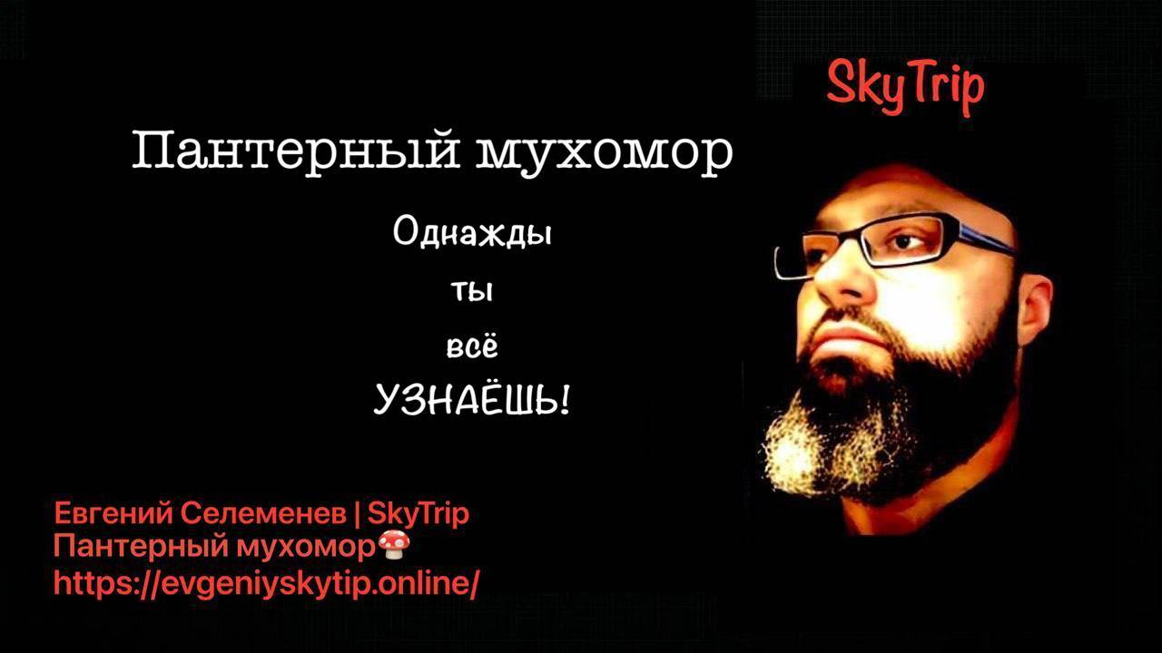 Однажды ты всё узнаешь! I Пантерный мухомор I SkyTrip