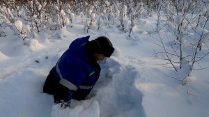 Самый тяжелый путик. Таёжный металл зовет! Ночной МЕТАЛЛОКОП.