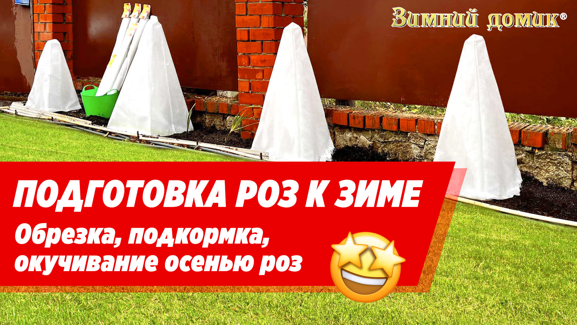 Укрытие роз на зиму ? Подготовка, обрезка, подкормка роз осенью