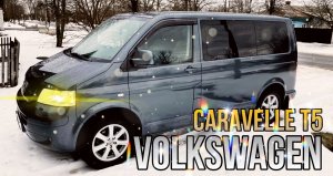 Volkswagen caravelle t5. Замена петли двери