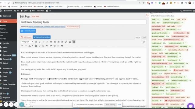 How to use Surfer SEO Within WordPress | WordPress Content Plug-in смотреть онлайн