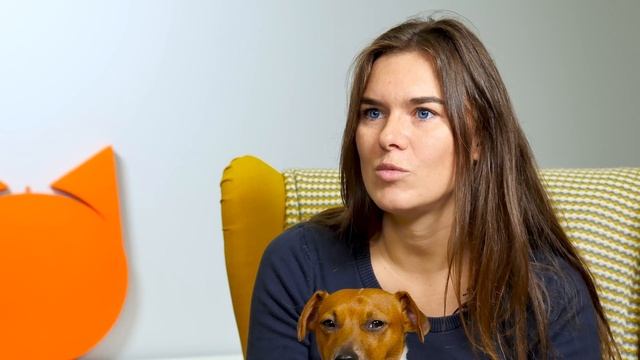 10 вопросов о ДЖЕК-РАССЕЛ-ТЕРЬЕРЕ смотреть онлайн