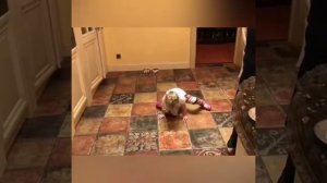 Лиза Галкина показывает приемы карате