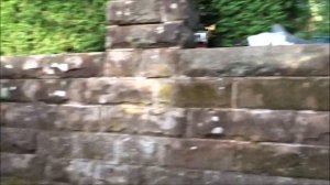 Замена тормозных дисков. Gena w140