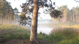 Чистка ДЕНЕЖНОГО КАНАЛА свечей от крадников