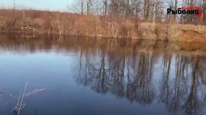 НЕ УСПЕВАЮ СЛЕДИТЬ ЗА ПОПЛАВКОМ.Ловля уклейки весной на поплавок р.Кудьма.