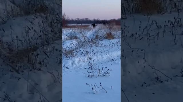 Снегоход буран по глубокому снегу смотреть онлайн