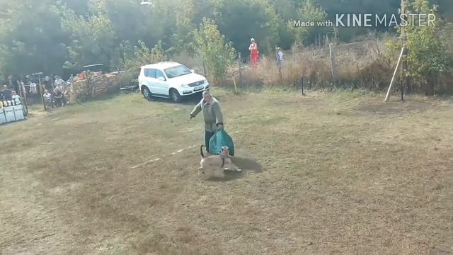 шос " АРЕС " . кубок МГБ - Одесса смотреть онлайн