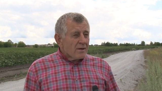 Отсыпка Новокладовое
