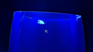 ЯПОНИЯ. ОКИНАВА. Самый Большой Океанариум В Мире