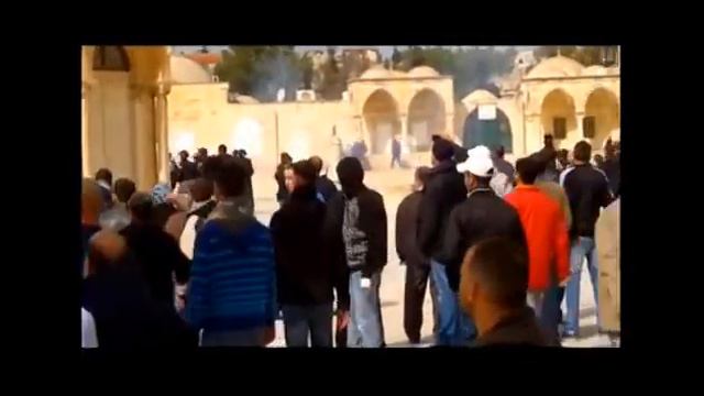 Ал - Акса има молба смотреть онлайн