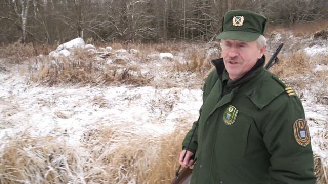 Слово эксперту: За косулей - в непогоду! смотреть онлайн