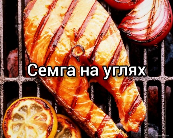 Рыба семга на мангале. Стейк из семги ?