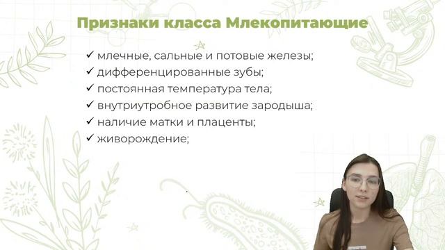 ОБЕЗЬЯНА НИКОГДА НЕ СТАНЕТ ЧЕЛОВЕКОМ? | БИОЛОГИЯ | 99 БАЛЛОВ | ОГЭ 2022 смотреть онлайн