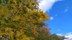 ПЛАТОК в подарок: приметы и суеверия