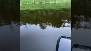 ?Рыбалка на реке Мста ?￼