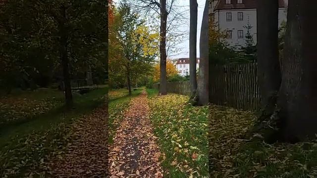 Осенний парк. Прогулка, любуемся красотой осени.