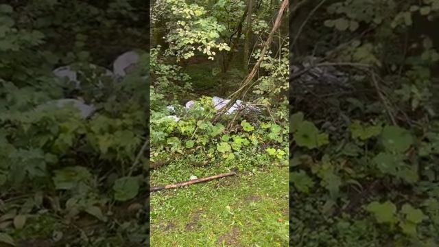 Срач в голове) Нахуа косить траву и оставлять под ней мусор потом???? смотреть онлайн