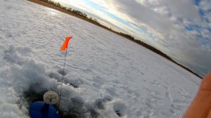 Щука на жерлицы,озеро Шаблиш.