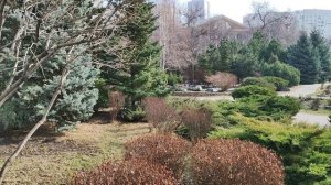 Мартовский сквер собора