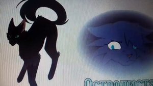 голоса котов войтелей|часть 1