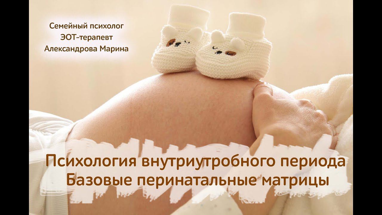 Психология внутриутробного периода. Базовые перинатальные матрицы. Эмоционально-образная терапия ЭОТ