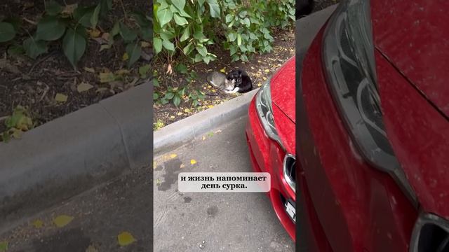 Если нет желания делать что-либо